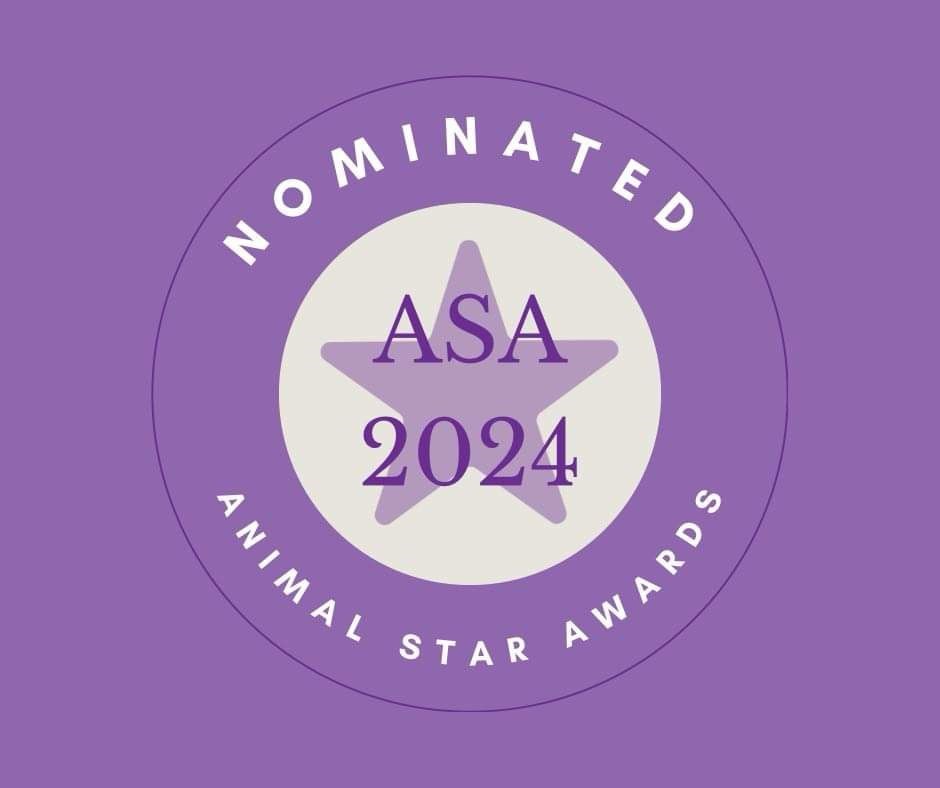 ASA Awards Nominated 2024